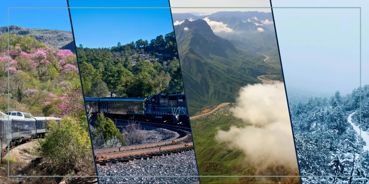 Observación de Aves Migratorias